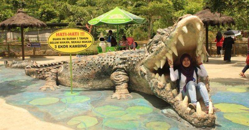 Tripadvisor.com/Predator Fun Park